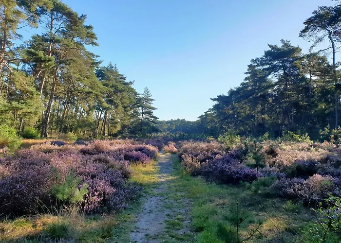 Met Hottub | 2 Personen - Valley *